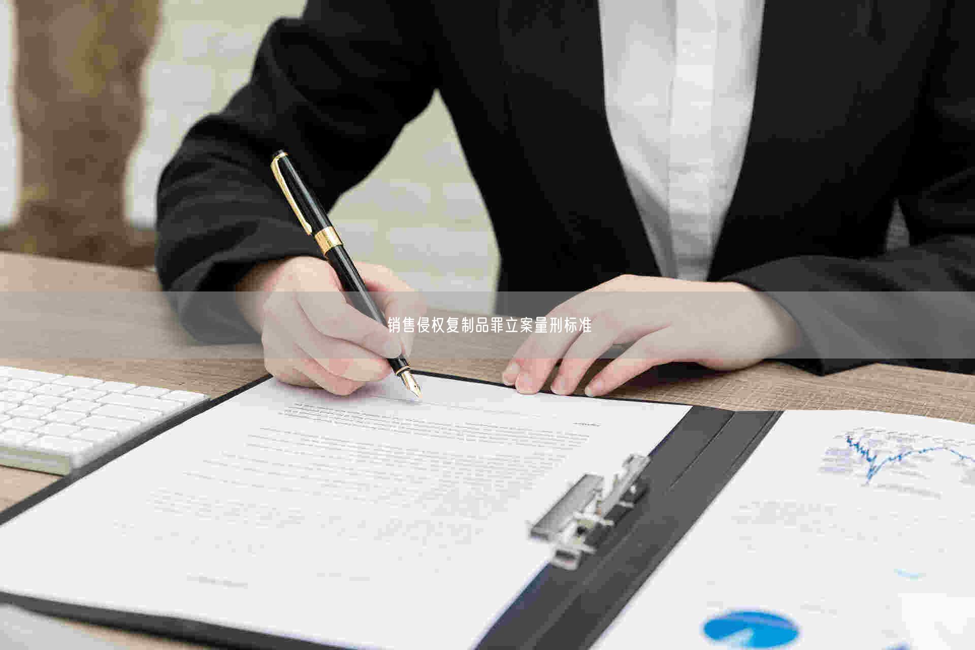 使用虚假身份证件、盗用身份证件罪(构成要件及立案量刑标准,司法解释)